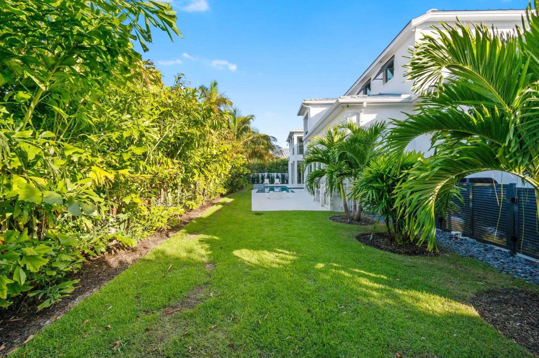 Side yard lawn with a hedge and palms along the side of the home.
