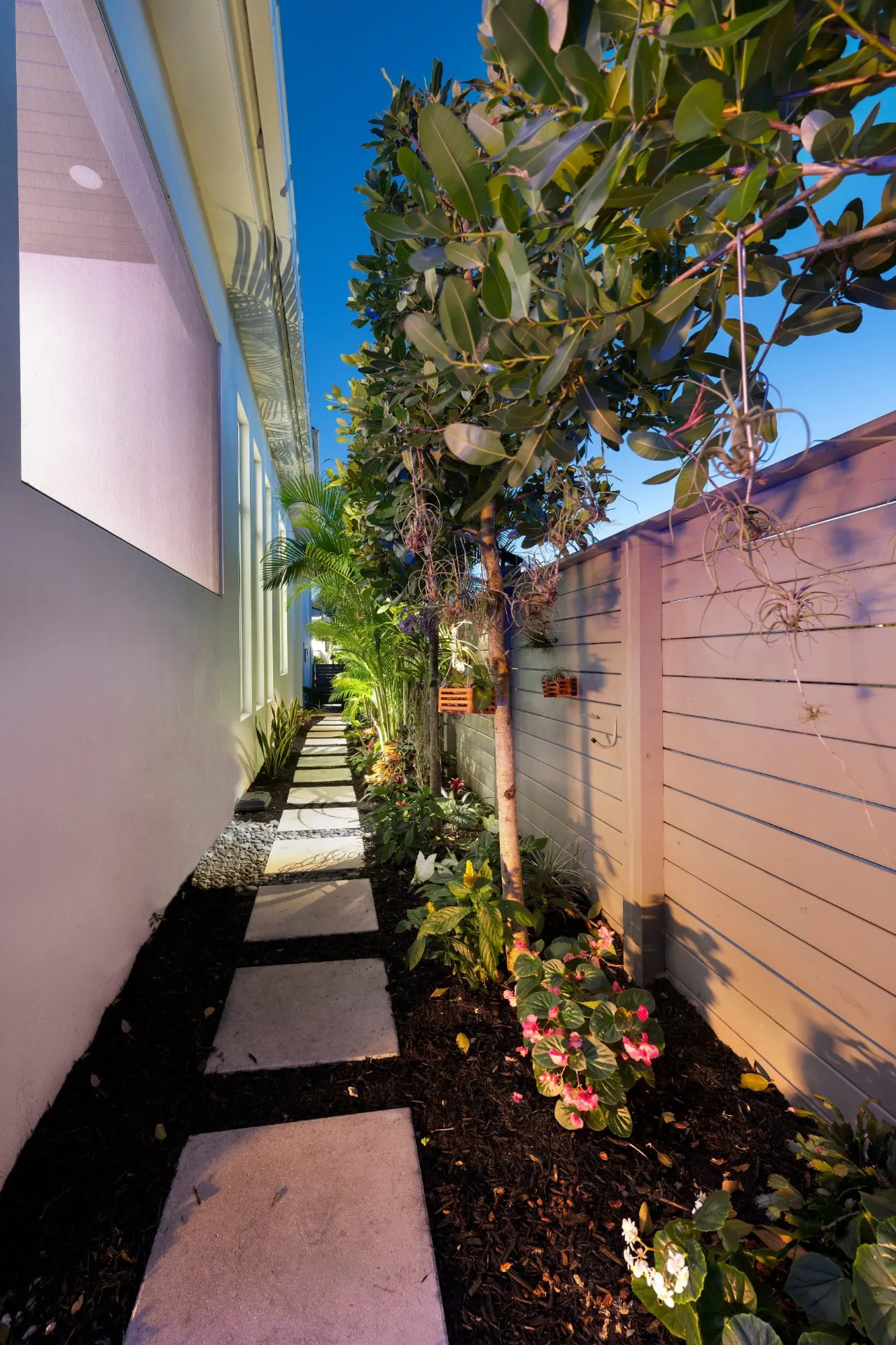 Side yard path of stepping-stone pavers lined with tropical plants, small trees and a horizontal slat fence.